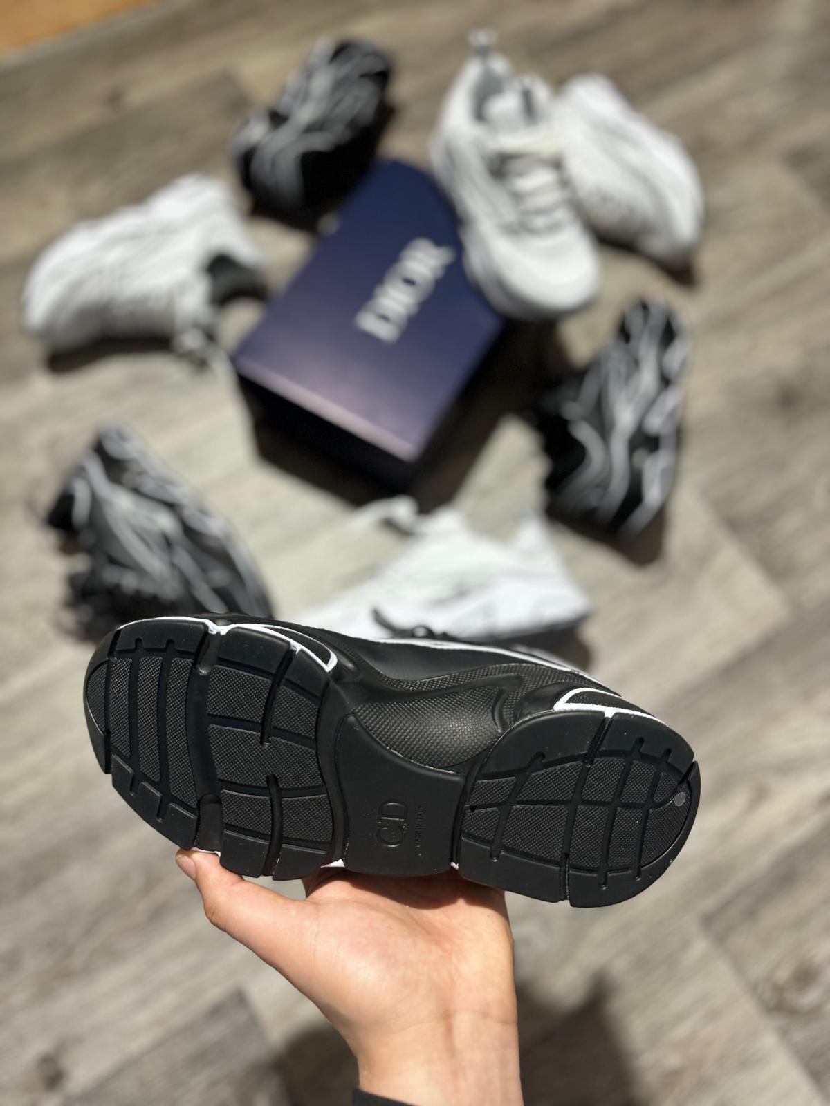 Dior b22