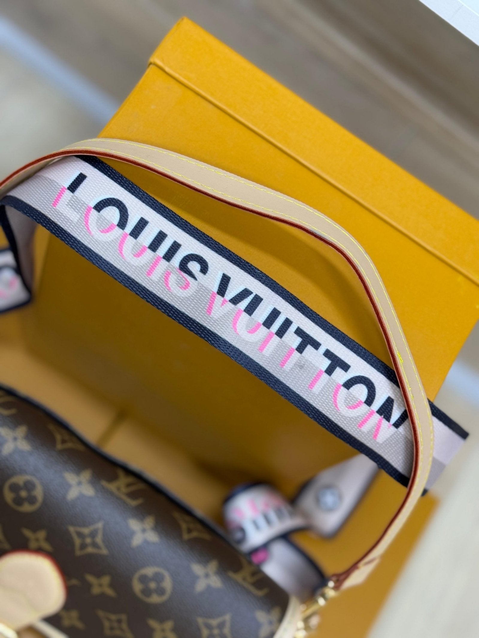 bolso mujer Louis Vuitton
